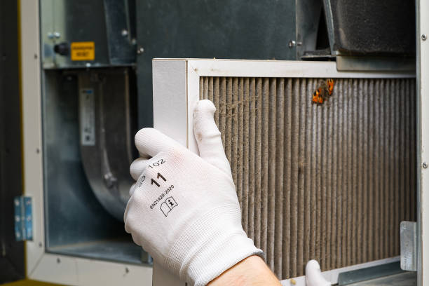 Air Duct Mold Removal in Russellville, AL