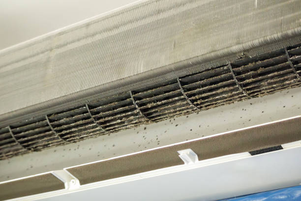Best Home Air Vent Cleaning  in Russellville, AL